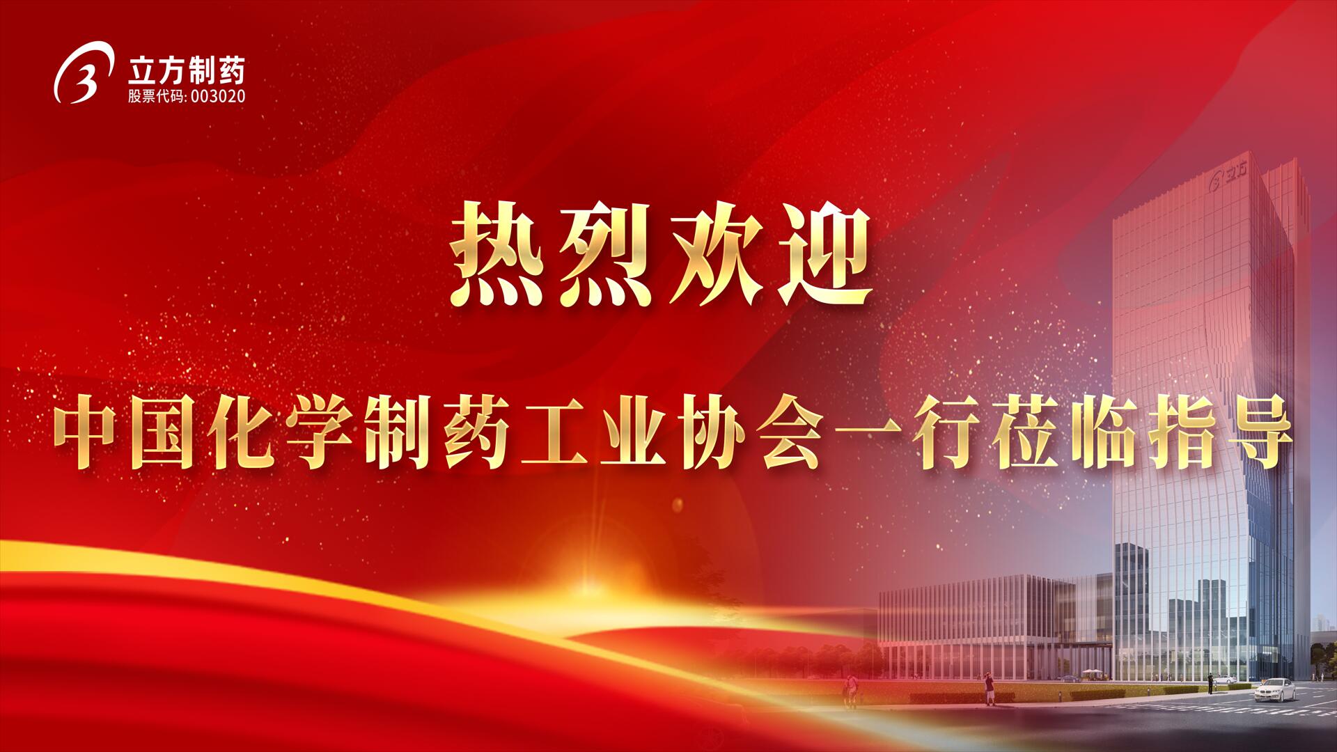 中国化学制药工业协会执行会长雷英一行莅临我司考察指导